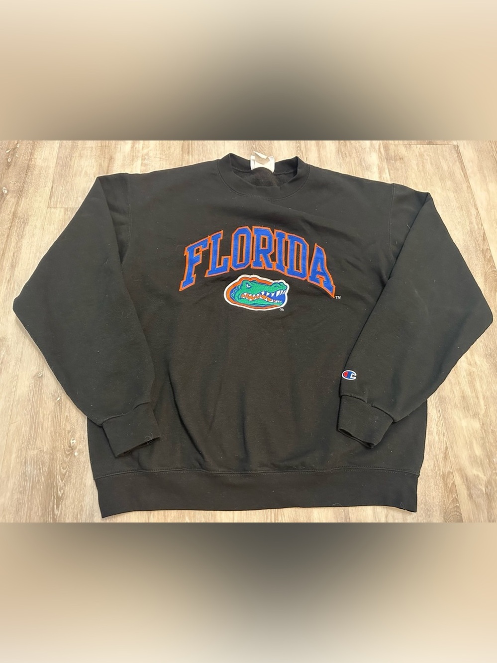 Champion Florida Gators sweatshirt, Size Large
